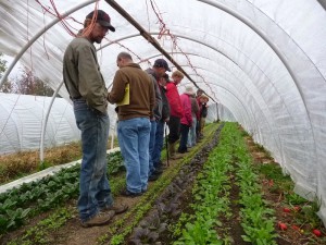 Our technical courses for commercial farmers are designed and taught by experienced farmers and stem from their interest in visiting each other’s operations, learning from peers, and their need to provide advanced technical training for their own employees. 