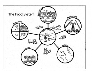 foodsystem