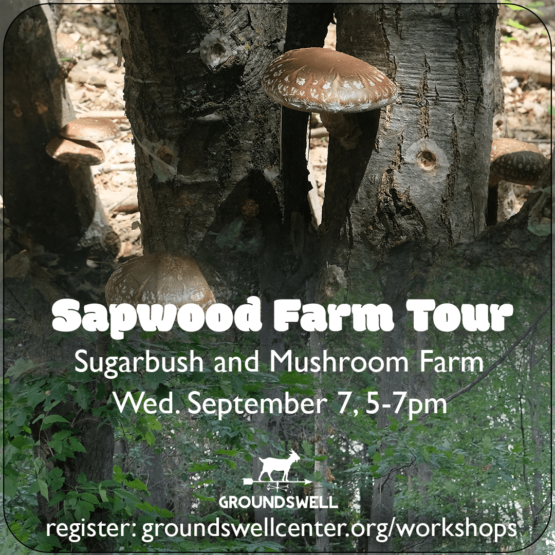 updated_Sapwood farm tour