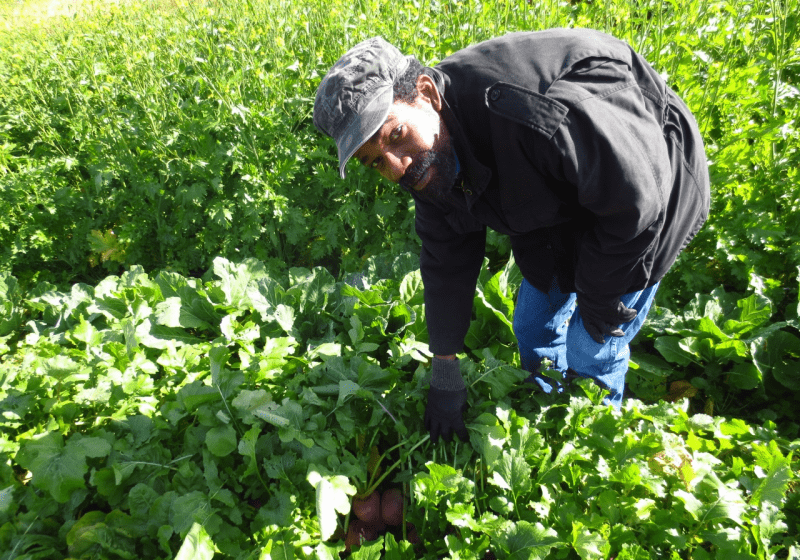 Damon-at-Incubator-Farm-800x600